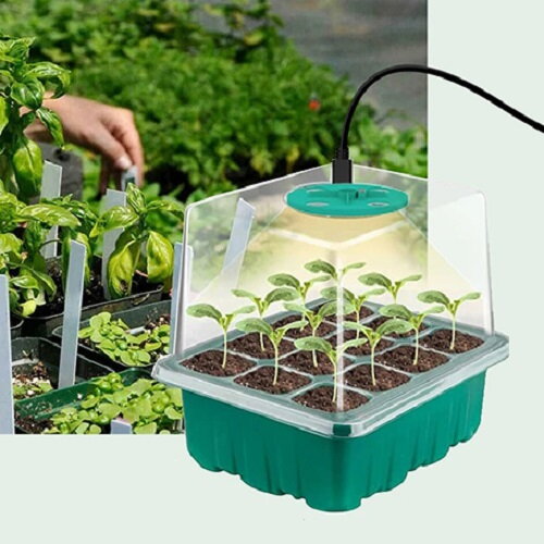 GROW BOX (1x12) KOMPLET z oświetleniem LED, 12 stanowisk + 20 nasion chili GROW BOX (1x12) KOMPLET z oświetleniem LED, 12 stanowisk + 20 nasion chili